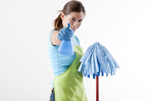 Professional stain removal on carpet in Westminster