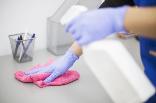 Cleaner reviewing factors that affect a Westminster carpet cleaning quote