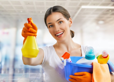 Professional Westminster carpet cleaners introducing the company and its services