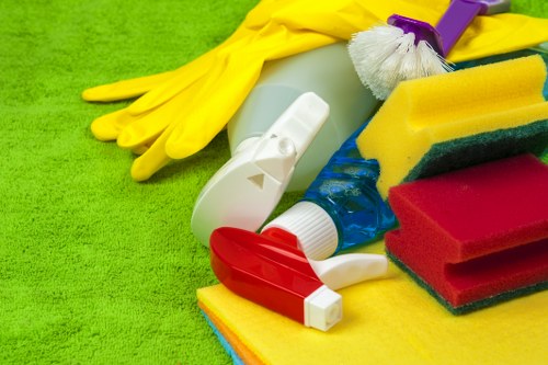 Accessibility request and support illustration for Westminster carpet cleaners