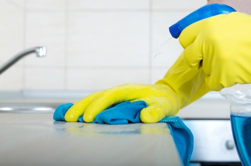 Carpet cleaning assessment and detailed treatment in a Westminster property