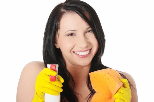 Residential carpet cleaning service in Westminster focusing on care and freshness